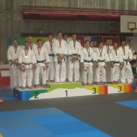 Liðakeppni karla GSSE 2011 ISL silfur