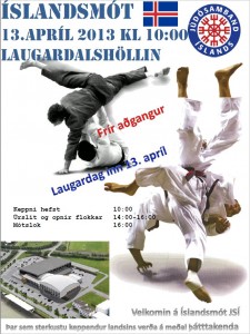 IM 2013 Plakat