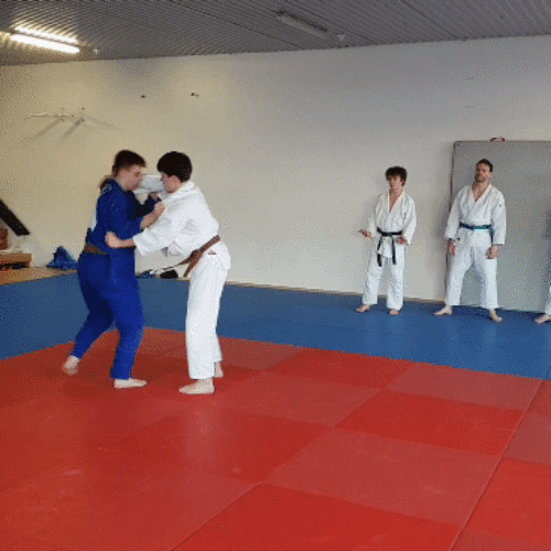 20181124_112436_1GIF