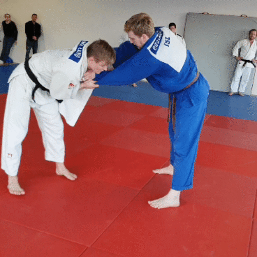 20181124_113550_1GIF