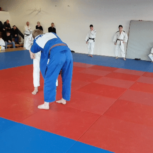 20181124_113550_2GIF